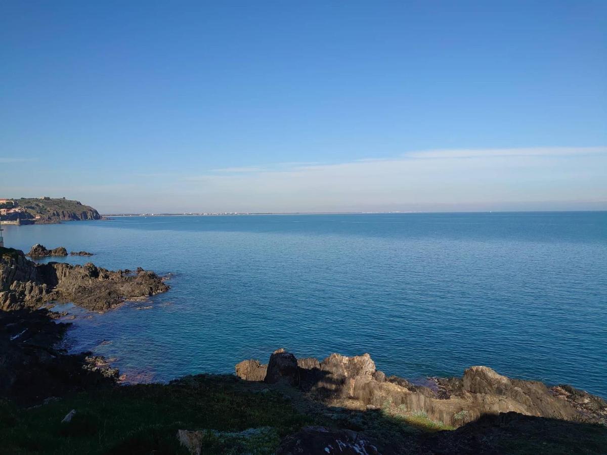 4Rb4 Appartement Type T2 Bord De Mer Acces Plage Direct Collioure Dış mekan fotoğraf