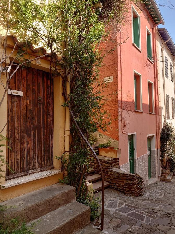 4Rb4 Appartement Type T2 Bord De Mer Acces Plage Direct Collioure Dış mekan fotoğraf