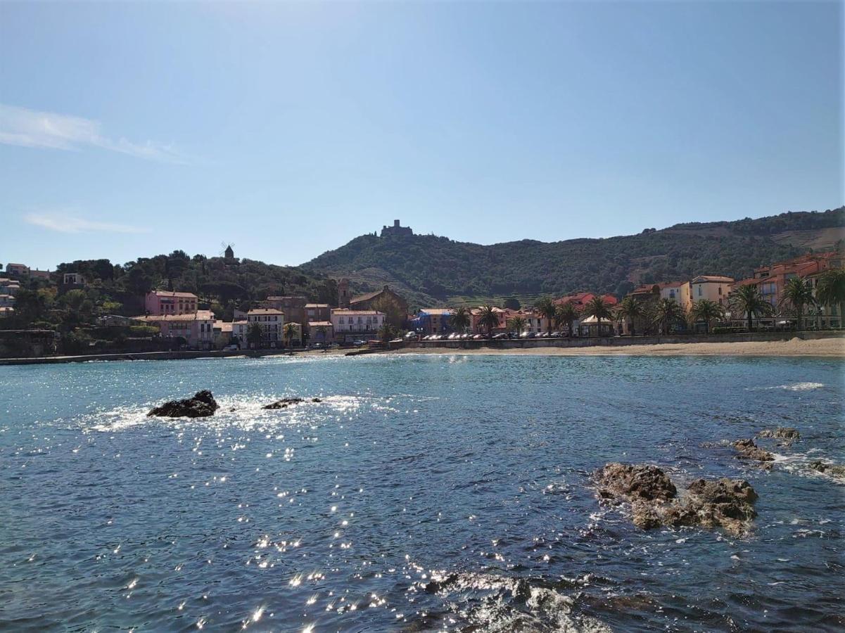 4Rb4 Appartement Type T2 Bord De Mer Acces Plage Direct Collioure Dış mekan fotoğraf