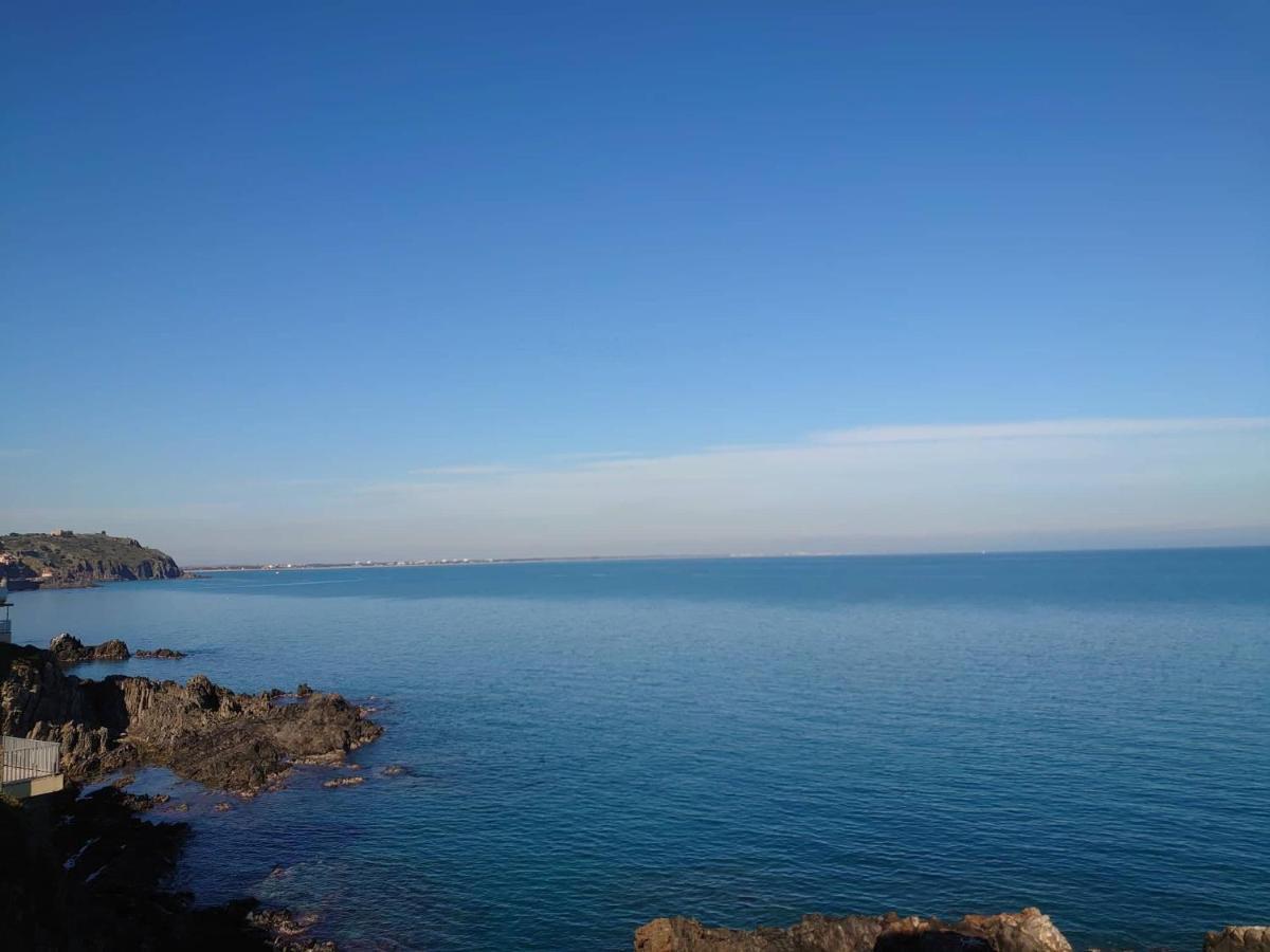 4Rb4 Appartement Type T2 Bord De Mer Acces Plage Direct Collioure Dış mekan fotoğraf