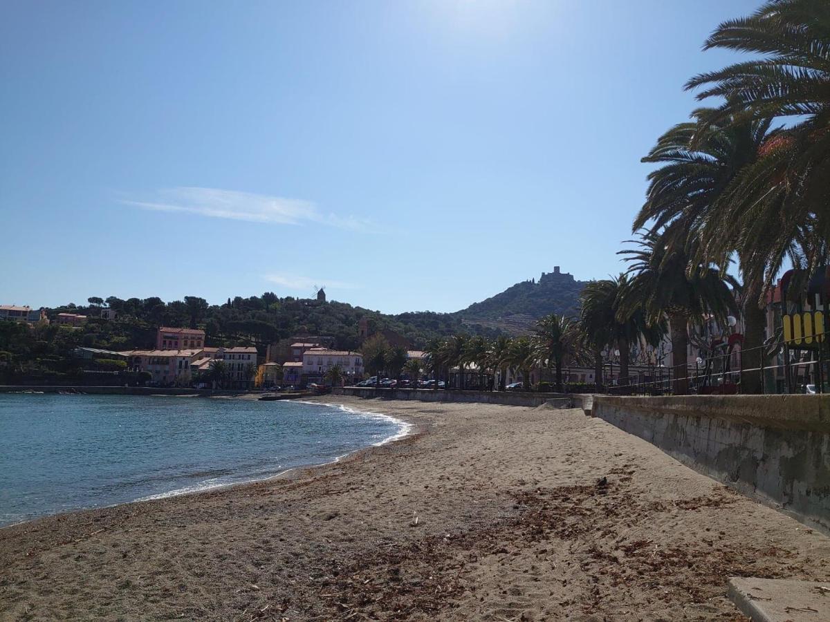 4Rb4 Appartement Type T2 Bord De Mer Acces Plage Direct Collioure Dış mekan fotoğraf